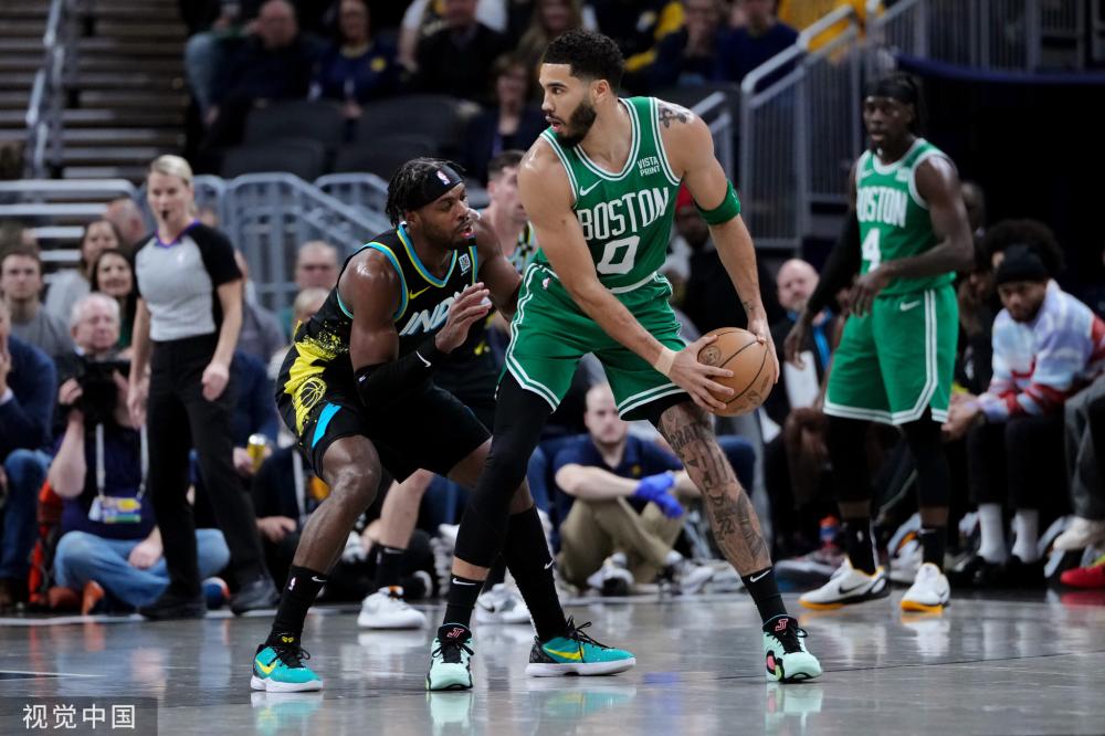 的共同特点 的共同特点