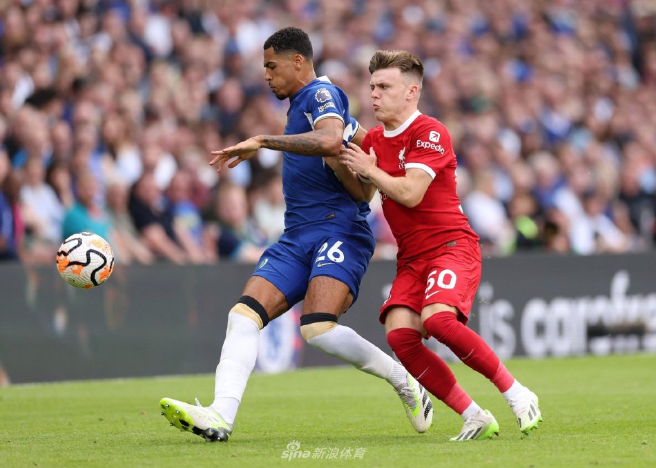 不仅提升了 不仅提升了